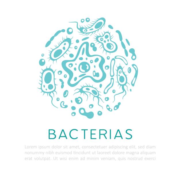 stockillustraties, clipart, cartoons en iconen met bacteriën, virussen en ander soort micro-organismen. vector banner. - bacterial mat