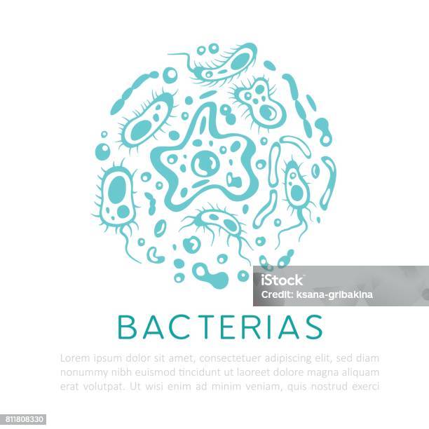 Bacterias Viruses And Different Kind Of Microorganisms Vector Banner Stock Illustration - Download Image Now