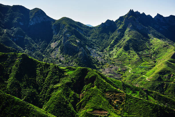 istock mountains in Tenerife 811810800