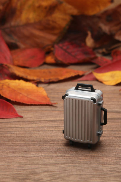 istock Fallen leaves and luggage on wood  plank. 811815918