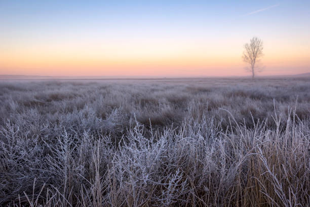 Blick auf eine verschneite Winterlandschaft am Morgen bei Sonnenaufgang – Foto