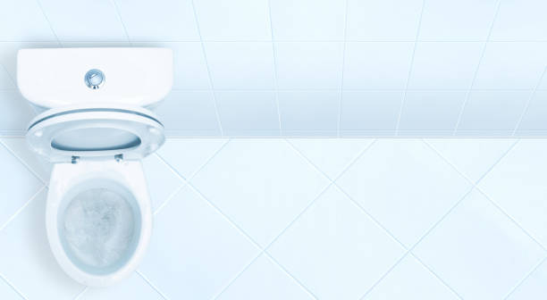 istock Toilet in the bathroom. 811830594