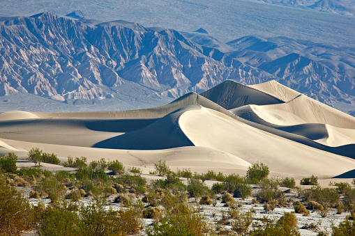 Mesquite Flat Sand Dunes in Death Valley National Park, California, USA on a sunny day.