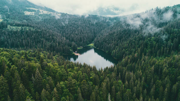 ウクライナのカルパチア山脈にある synevir 湖の空中写真 - carpathian mountain range ストックフォトと画像