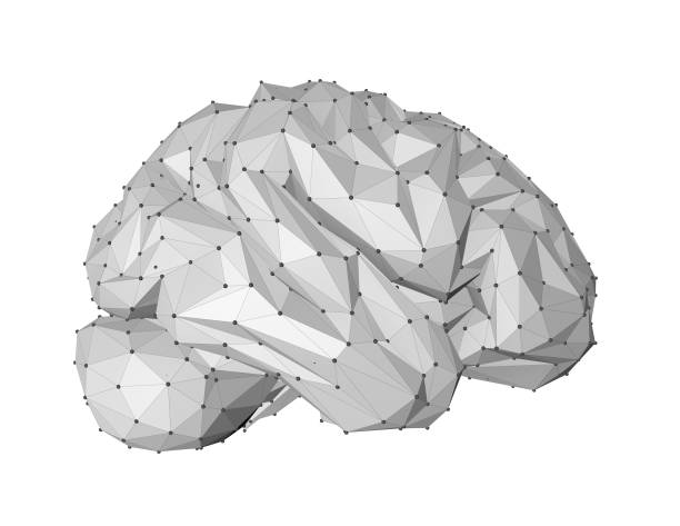 istock Gray geometric brain isolated on white 3D illustration. 811841132