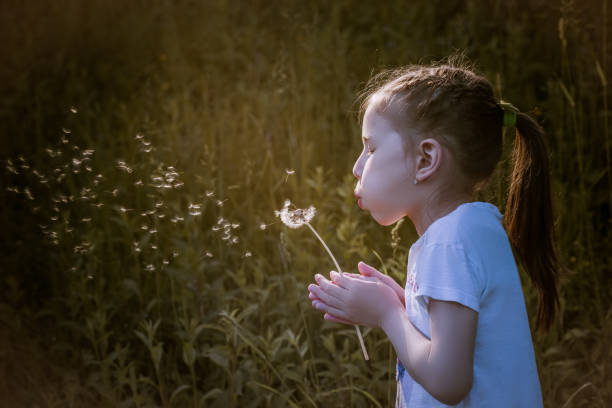 istock Beautiful child blowing away dandelion flower in spring. 811844280