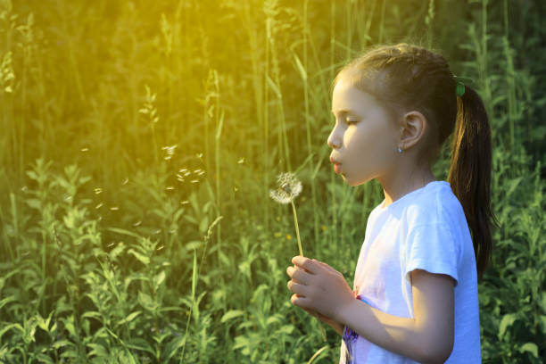 istock Beautiful child blowing away dandelion flower in spring. 811844366