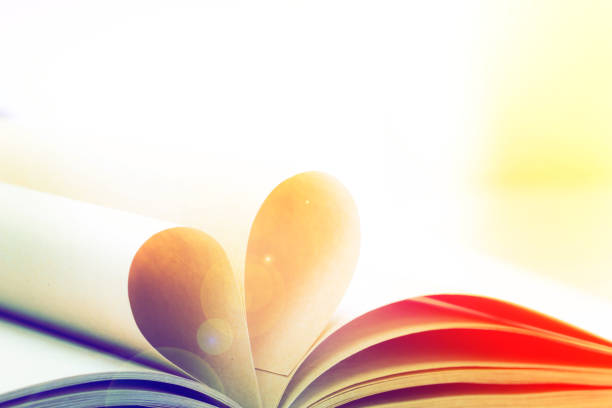 istock Pages of open book rolled in heart shape 811850072