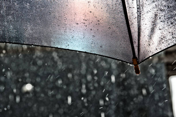 istock Umbrellas in Stockholm 811864210
