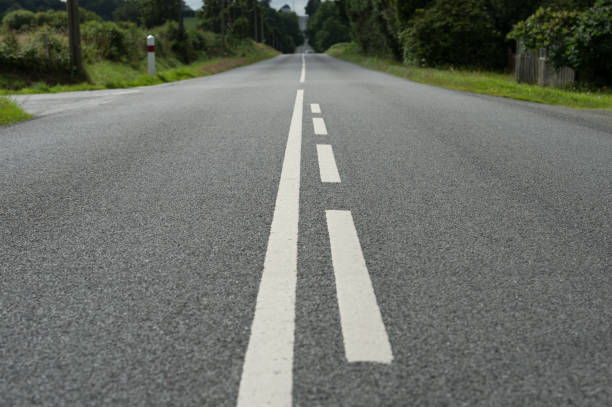 istock Straight road through green woods 811864240