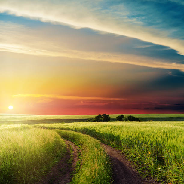 istock nice sunset in clouds over road in green field 811864724
