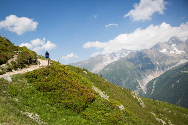 istock Female hiking up the mountain 811866904