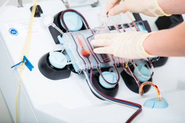 istock Device for checking blood during blood donations 811867636