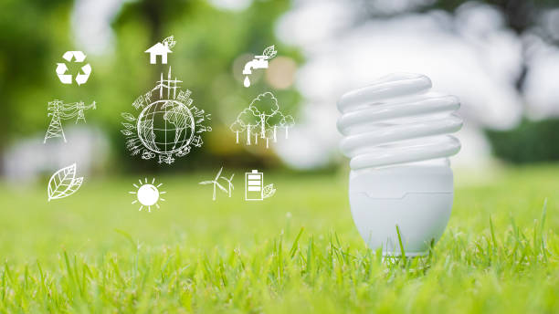 istock light bulb in green grass, Save earth concept 811880354