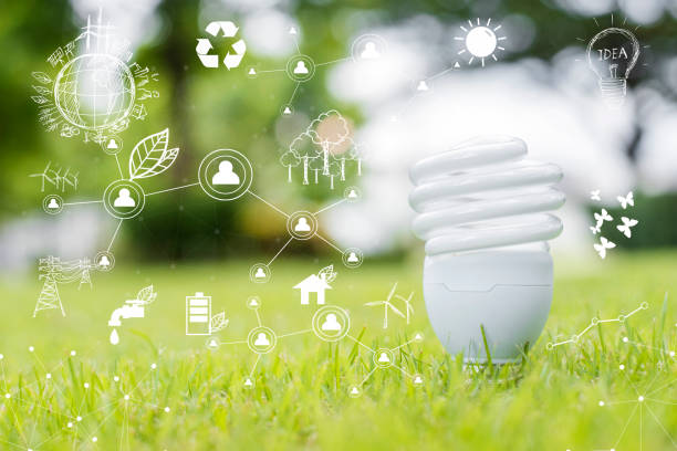 istock light bulb in green grass, Save earth concept 811880514