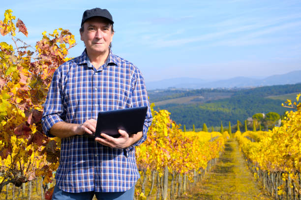 istock Farmer in Tuscany Vineyard in Autumn 811883632