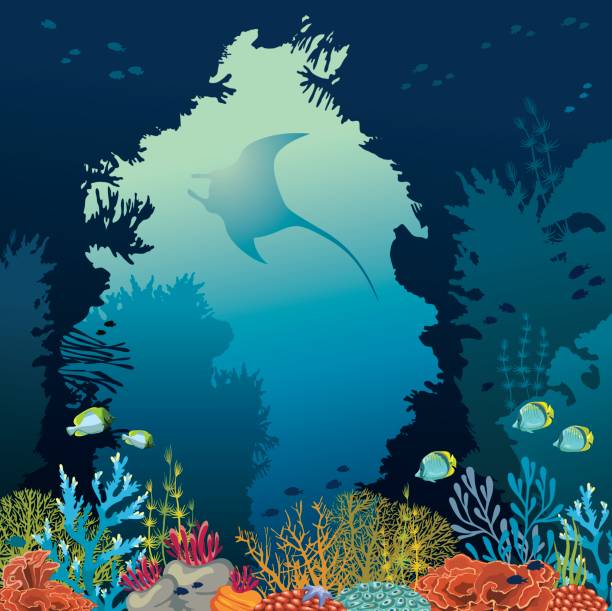 ilustraciones, imágenes clip art, dibujos animados e iconos de stock de arrecife de coral y manta. vector de submarino. - beauty in nature coral angelfish fish
