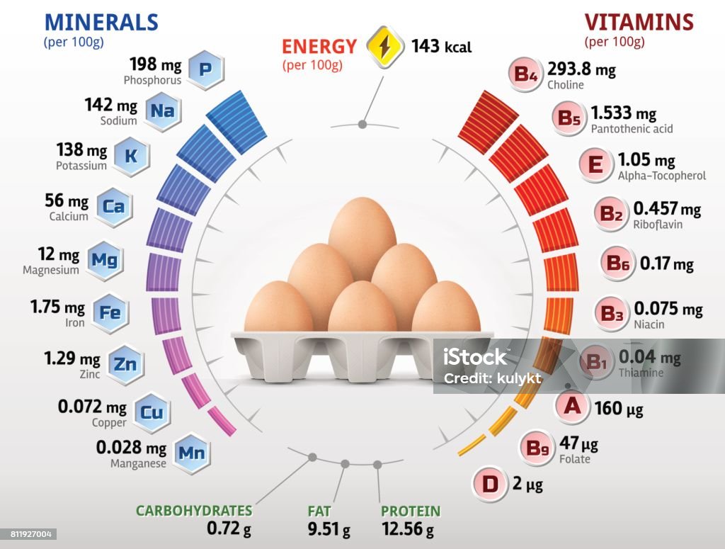 Vitamins and minerals of chicken egg Infographics about nutrients in raw egg. Best vector illustration for bird eggs, food, poultry farming, vitamins, health food, nutrients, diet, etc Animal Egg stock vector