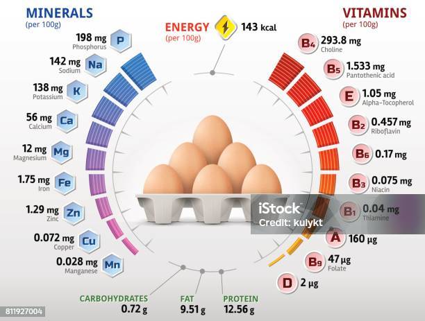 Vitamins And Minerals Of Chicken Egg Stock Illustration - Download Image Now - Animal Egg, Egg - Food, Infographic