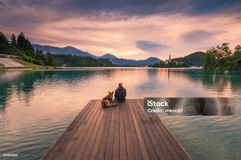 Hombre y perro sentado sobre deck de madera en el lago de Bled, Eslovenia - Foto de stock de Perro libre de derechos