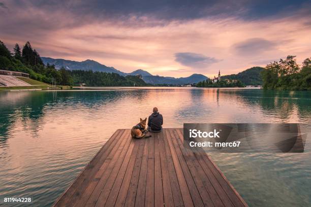 Hombre Y Perro Sentado Sobre Deck De Madera En El Lago De Bled Eslovenia Foto de stock y más banco de imágenes de Perro