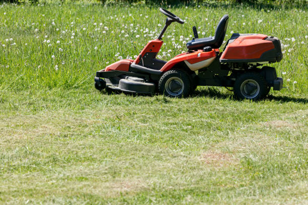 istock freshly cut grass by red lawnmower 811953472