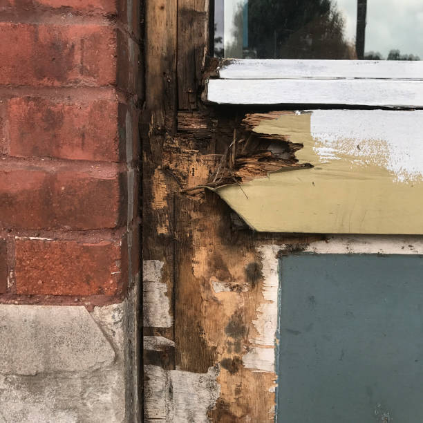 istock Fixing Rotten Wood Before Painting 811965060