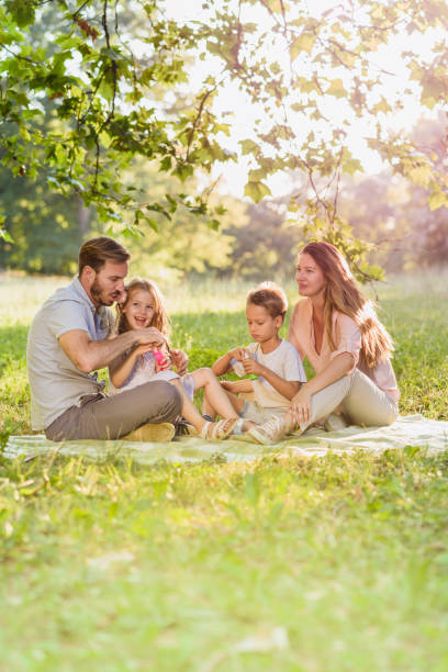 istock Family on a picnic blow soap bubbles 811970292