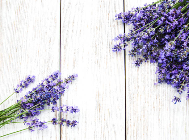 istock bunch of lavender 811987722