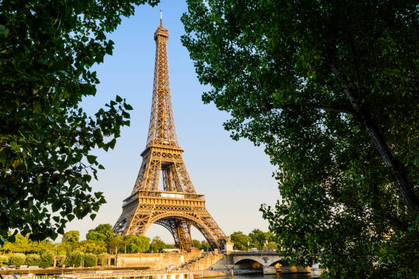 istock The Eiffel tower seen from the Debilly pier. 812012810