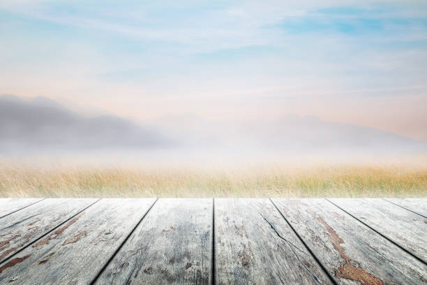 istock Empty wooden table with party in garden background blurred. 812017338