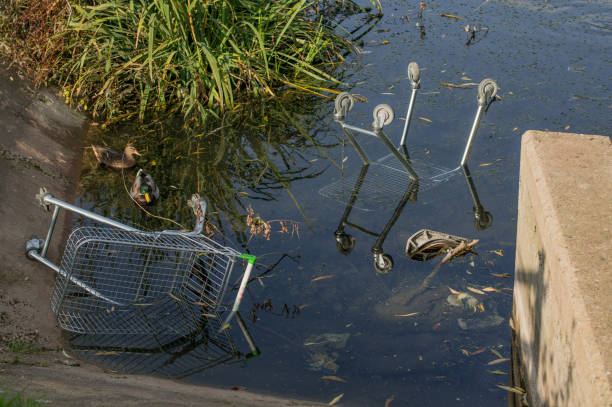 istock Shopping Carts in Water 812032250