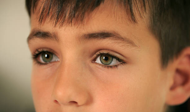 istock Boy with beautiful green eyes 812034808
