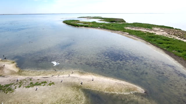 Aerial shot of a sand spit of Dzharylhach island and lonely flying birds