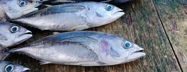 istock Fish tuna on a wooden background 812080478