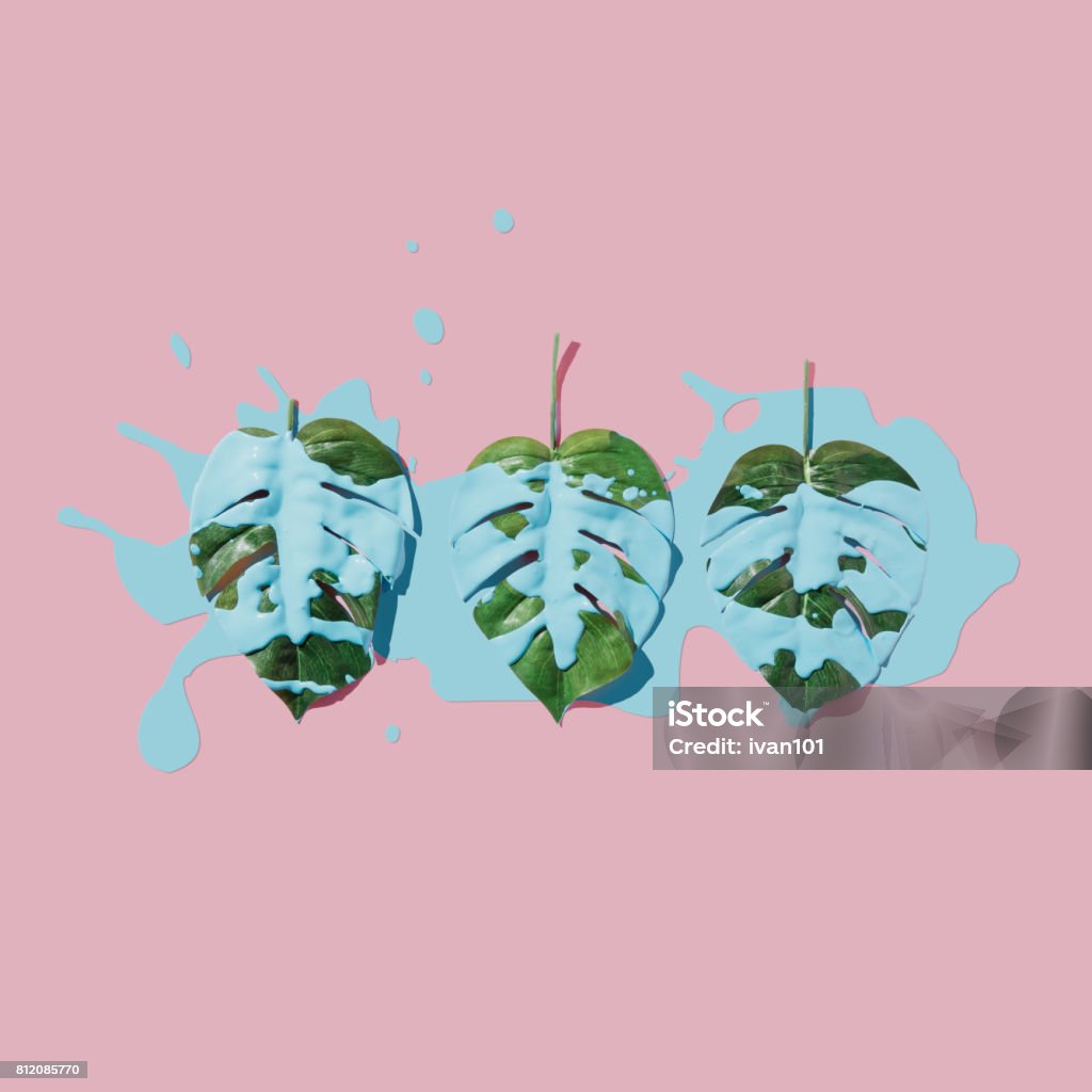 Blue paint splatter over tropical leaves on pink pastel background. flat lay. Minimal concept. Backgrounds Stock Photo