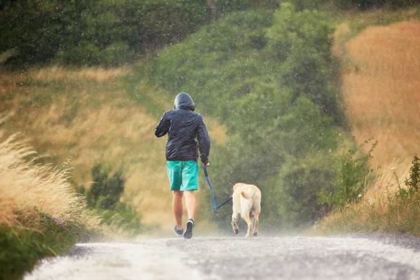 istock Man with dog in heavy rain 812090600