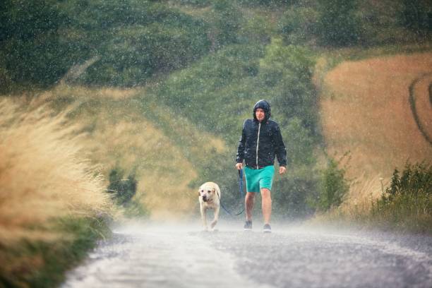 man with dog in heavy rain - rain drenched men wet imagens e fotografias de stock