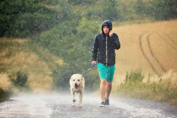 istock Man with dog in heavy rain 812090620