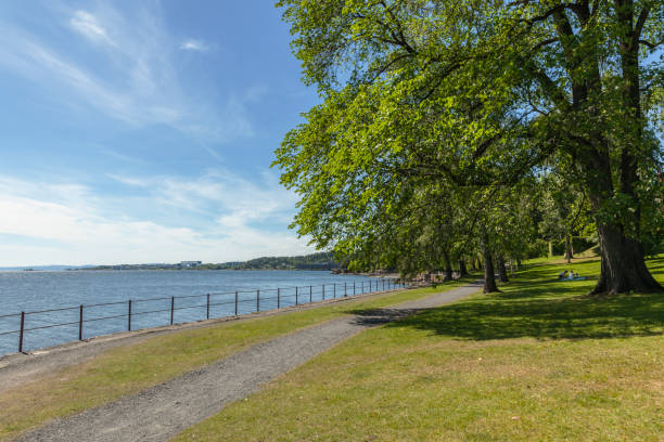 istock Deciduous trees and green lawn by the sea 812097070