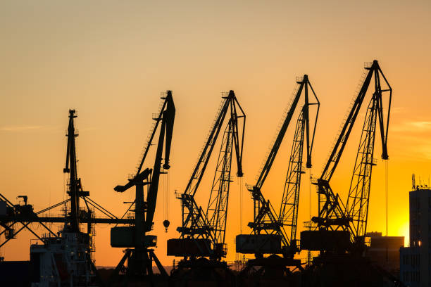 istock Big cranes silhouette in the port at sunset 812099716