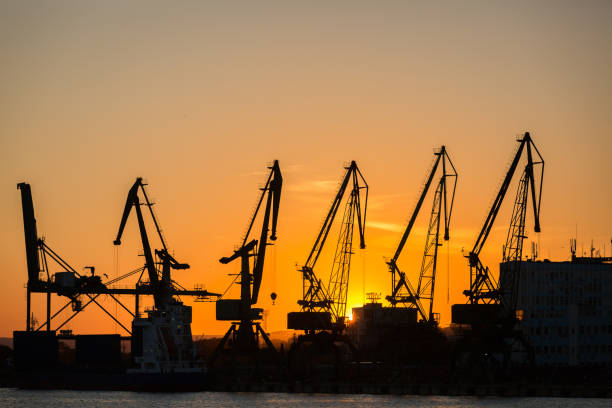 istock Big cranes silhouette in the port at sunset 812099728