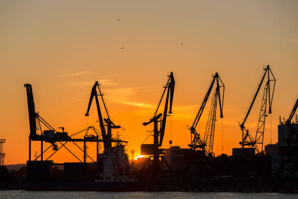 istock Big cranes silhouette in the port at sunset 812099754