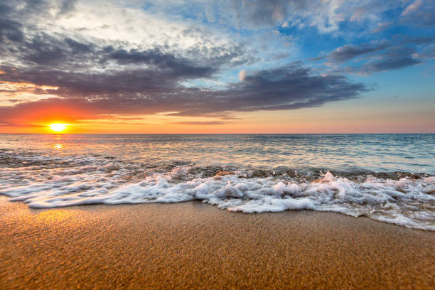 istock Dramatic Tropical Sunrise at the beach 812099872