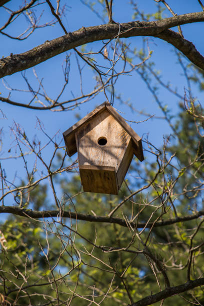 istock Bird house made of wood 812112772