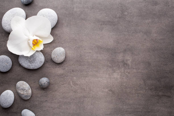 istock White orchid and spa stones on the grey background. 812112928
