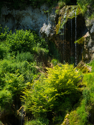 Mountain stream waterfall. Bigar mountain waterfall, Romania