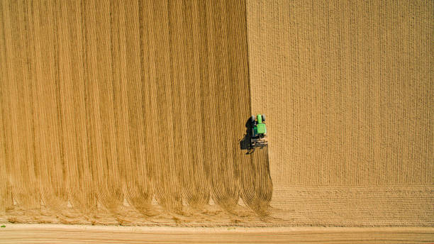 istock green tractor sowing in pavia prvince 812136258