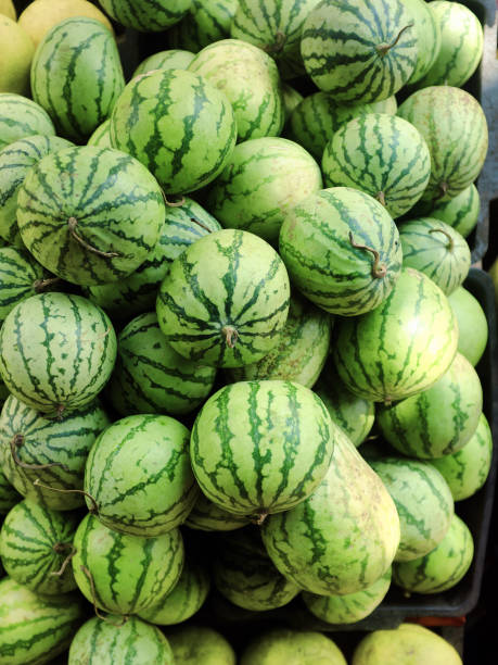 istock Many small watermelons in the open market 812143794