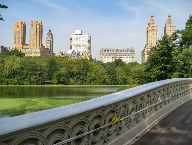 istock Bow Bridge Central Park New York City 812146472